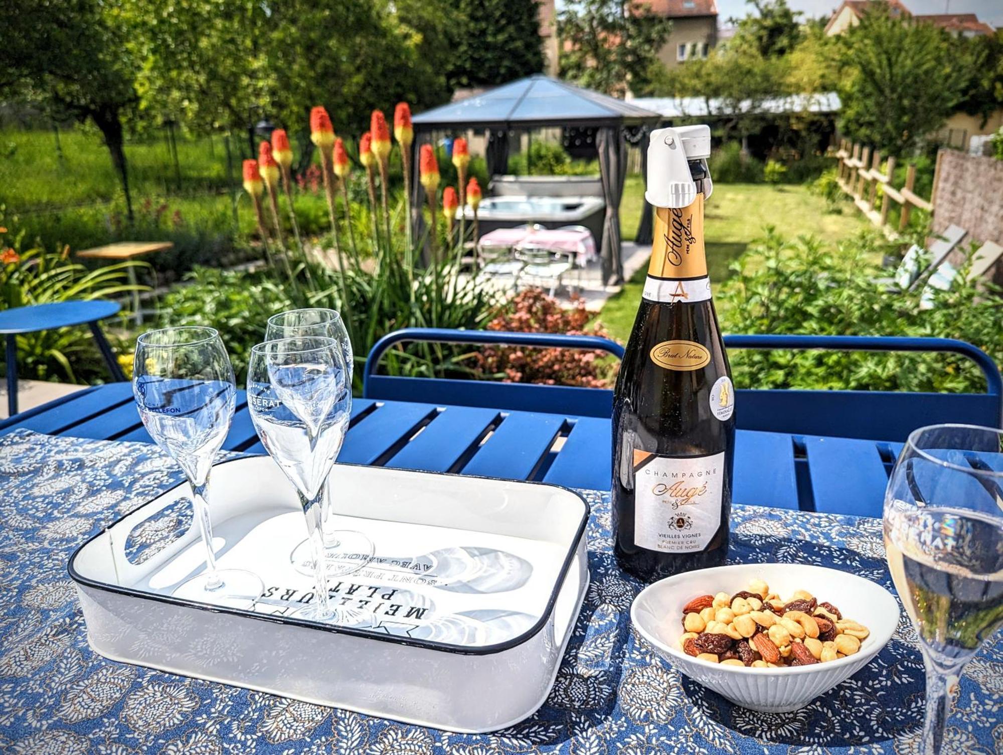 Le Cemarose: Spa, Jardin, Terrasse Et Jolie Vue Au Coeur D'Эперне Экстерьер фото